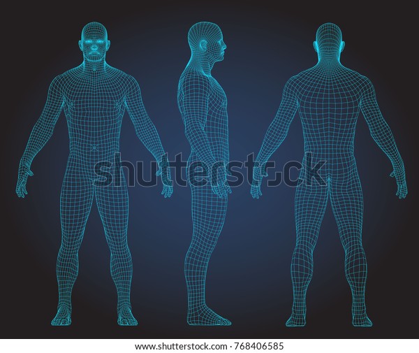 仮想現実に人間の全身を結線で巻き付ける メディカルブループリントでスキャンされた3dモデル 多角形テクノロジーのデザイン 前面 背面 側面図 のベクター画像素材 ロイヤリティフリー