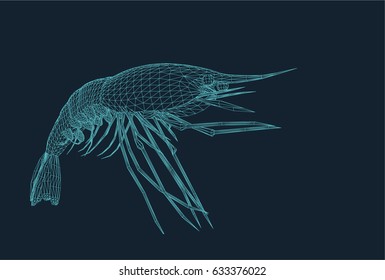 wire frame illustration of an isolated prawn