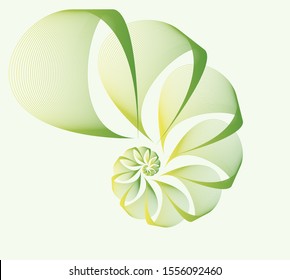 Wired Veils Nautilus Shape In Green Leaves Shades