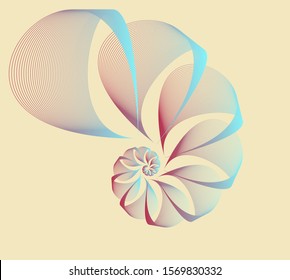 Wired Veils Nautilus Shape In Ivory Blue Red Shades