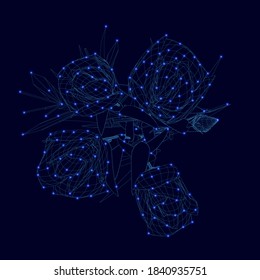 Wireframe of blue roses on a dark background with glowing lights. View from above. 3D. Vector illustration