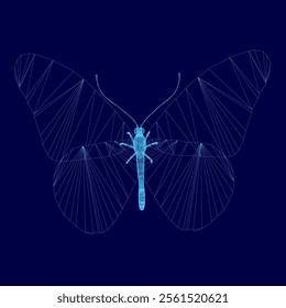 Wireframe of butterflies. Blue pictures of butterflies. Insect butterfly blue outline, winged gorgeous animal, vector illustration