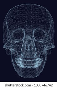 Wireframe of a decorative human skull on a dark background. Polygonal skull of blue lines. Vector illustration.