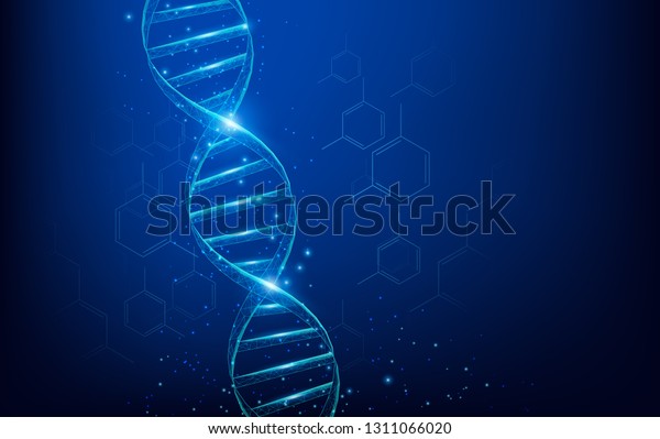 Wireframe Dna Molecules Structure Mesh Low Stock Vector (Royalty Free ...