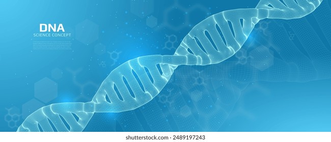 Wireframe dna structure. 3D digital genetic model. Scientific background. Vector illustration.