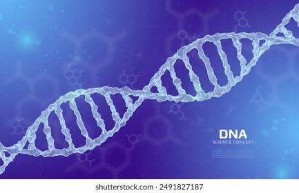 Wireframe dna structure. 3D digital genetic model. Scientific background. Vector illustration.