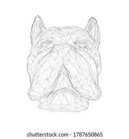 Wireframe of a dog head from black lines on a white background. Front view. Vector illustration