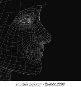 Wireframe female face, consisting of complex lines and geometric shapes forming a realistic facial structure. The digital grid highlights detailed contours of the eyes, nose and lips. The girl smiles.