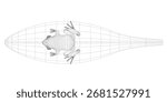 A wireframe frog 3D model rendered realistically on a clean white background.