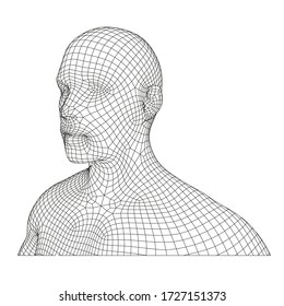 wireframe human, head and body grid vector shape