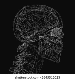 Wireframe human skull with intricate anatomical details, showcasing a digital 3D model in monochrome tones. The transparent mesh structure highlights bone structure and contours, ideal for medical