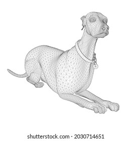 Wireframe Labrador Hund aus schwarzen Linien einzeln auf weißem Hintergrund. 3D. Vektorgrafik