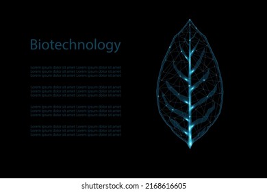 Wireframe leaf in low poly futuristic style with lines and lights. vector illustration. Biotechnology technology concept. 