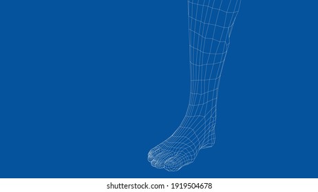 Wireframe leg. Close-up view. Anatomy concept. Vector 3d rendering