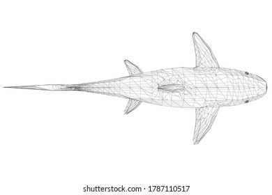 Wireframe low poly blue shark. 3D. View from above. Vector illustration