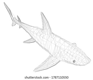 Wireframe low poly blue shark. 3D. Isometric view. Vector illustration