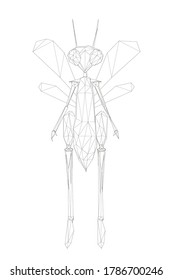 Wireframe low poly humanoid dragonfly. The line beetle stands on two legs. Front view. Vector illustration