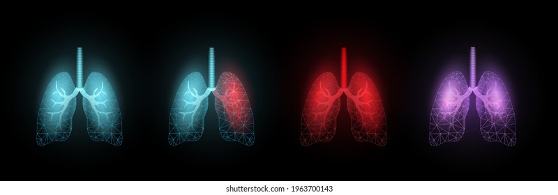 Wireframe low poly set of four lungs different color. Medical concept. Modern abstract 3d vector illustration. Isolated on a black background. 