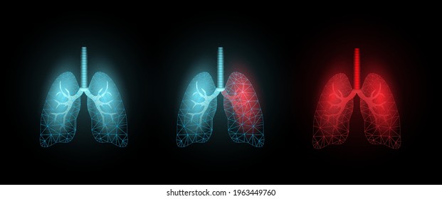 Wireframe low poly set of three lungs different color. Medical concept. Modern abstract 3d vector illustration. Isolated on a black background. 