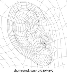 Wireframe model of the human ear. Side view. 3D. Vector illustration