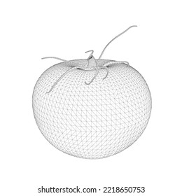 Wireframe of polygonal tomato from black lines isolated on white background. 3D. Vector illustration.