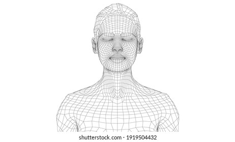 Wireframe portrait of a young beautiful girl with closed eyes. Ponytail hairstyle. Vector 3d rendering