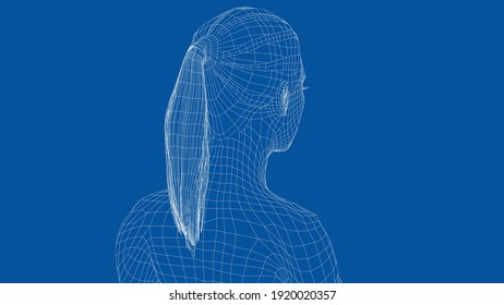 Wireframe portrait of a young beautiful girl. Ponytail hairstyle. Vector 3d rendering