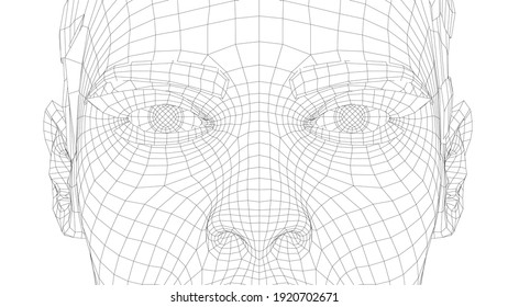 Wireframe portrait of a young beautiful girl. Vector 3d rendering