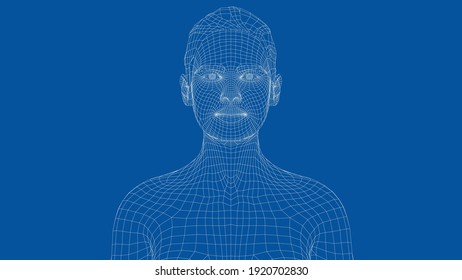 Wireframe portrait of a young beautiful girl. Ponytail hairstyle. Vector 3d rendering