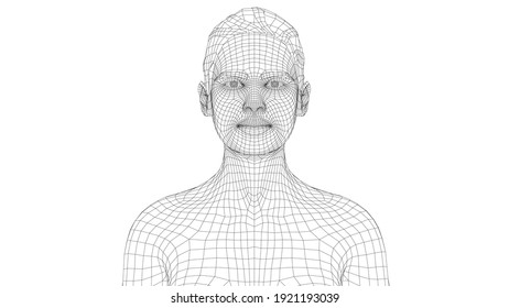 Wireframe portrait of a young beautiful girl. Ponytail hairstyle. Vector 3d rendering