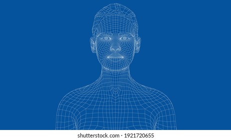 Wireframe portrait of a young beautiful girl. Ponytail hairstyle. Vector 3d rendering