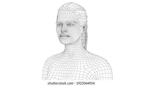 Wireframe portrait of a young beautiful girl. Ponytail hairstyle. Vector 3d rendering