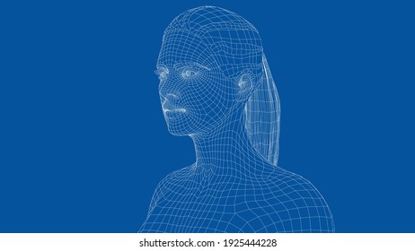 Wireframe portrait of a young beautiful girl. Ponytail hairstyle. Vector 3d rendering