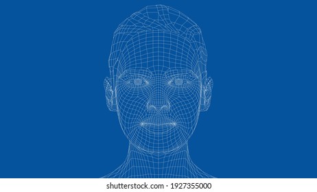 Wireframe portrait of a young beautiful girl. Ponytail hairstyle. Vector 3d rendering