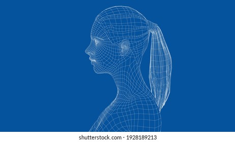 Wireframe portrait of a young beautiful girl. Ponytail hairstyle. Vector 3d rendering