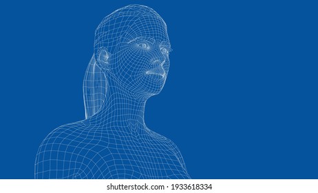 Wireframe portrait of a young beautiful girl. Ponytail hairstyle. Vector 3d rendering