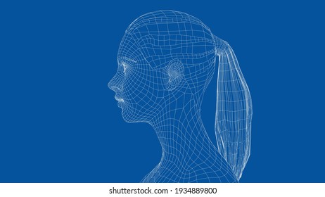 Wireframe portrait of a young beautiful girl. Ponytail hairstyle. Vector 3d rendering
