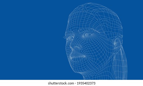 Wireframe portrait of a young beautiful girl. Ponytail hairstyle. Vector 3d rendering