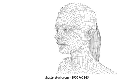 Wireframe portrait of a young beautiful girl. Ponytail hairstyle. Vector 3d rendering