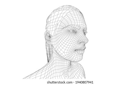 Wireframe portrait of a young beautiful girl. Ponytail hairstyle. Vector 3d rendering