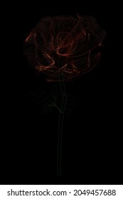 Alambre de una rosa roja sobre un fondo negro .. Ilustración del vector
