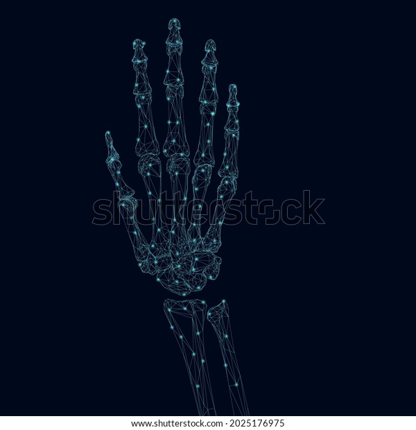 Wireframe of the skeleton of a human hand\
made of blue lines with glowing lights on a dark background. 3D.\
Vector illustration.