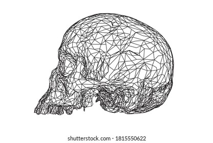 Wireframe Skull Human Scary Locally Deformed Stock Vector (Royalty Free ...