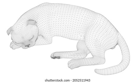Wireframe of a sleeping cat from black lines isolated on a white background. 3D. Vector illustration
