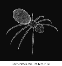 A wireframe spider with intricate details stands out against a black background, featuring eight long legs, a webbed body, large round eyes, and thin antennae.