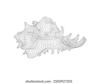 Wireframe spiral conch sea shell, sketch style vector illustration isolated on white background. Contour drawing of saltwater conch, sea snail shell. 3D