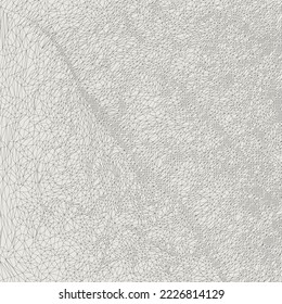 Wireframe Square region in Outlines background. 3D grid technology illustration landscape. Digital Terrain Cyberspace in the Mountains with valleys. Black on gray colors. Data Array. Vector.