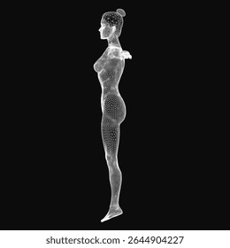 Wireframe woman standing in a neutral pose, showcasing a digital 3D model with clean geometric lines. The transparent mesh structure highlights anatomical details, perfect for tech and design.