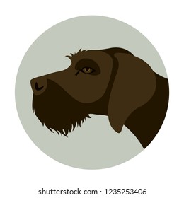 wirehaired  german pointer  head , vector illustration ,flat style, profile view