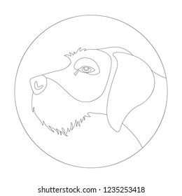 wirehaired  german pointer ,vector illustration ,lining draw